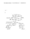 REPLICATING EXPRESSION VECTOR AND METHODS diagram and image