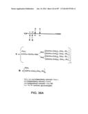 Factor IX:  Remodeling and Glycoconjugation of Factor IX diagram and image