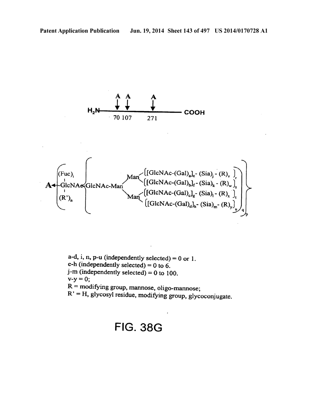 Factor IX:  Remodeling and Glycoconjugation of Factor IX - diagram, schematic, and image 144