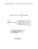 Factor IX:  Remodeling and Glycoconjugation of Factor IX diagram and image