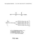 Factor IX:  Remodeling and Glycoconjugation of Factor IX diagram and image