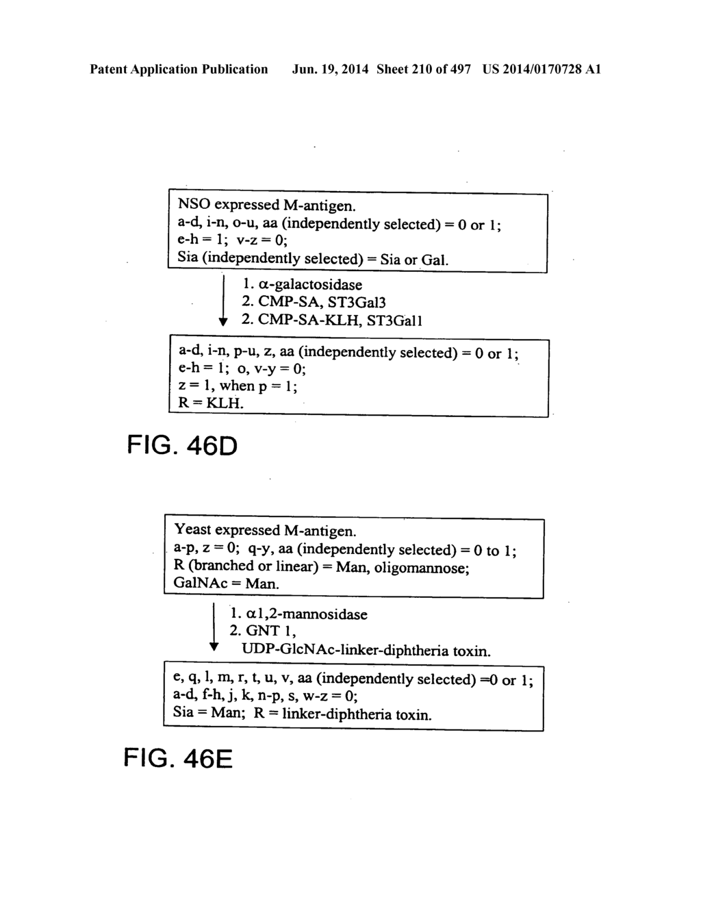 Factor IX:  Remodeling and Glycoconjugation of Factor IX - diagram, schematic, and image 211