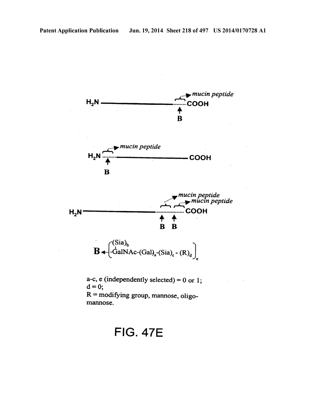 Factor IX:  Remodeling and Glycoconjugation of Factor IX - diagram, schematic, and image 219