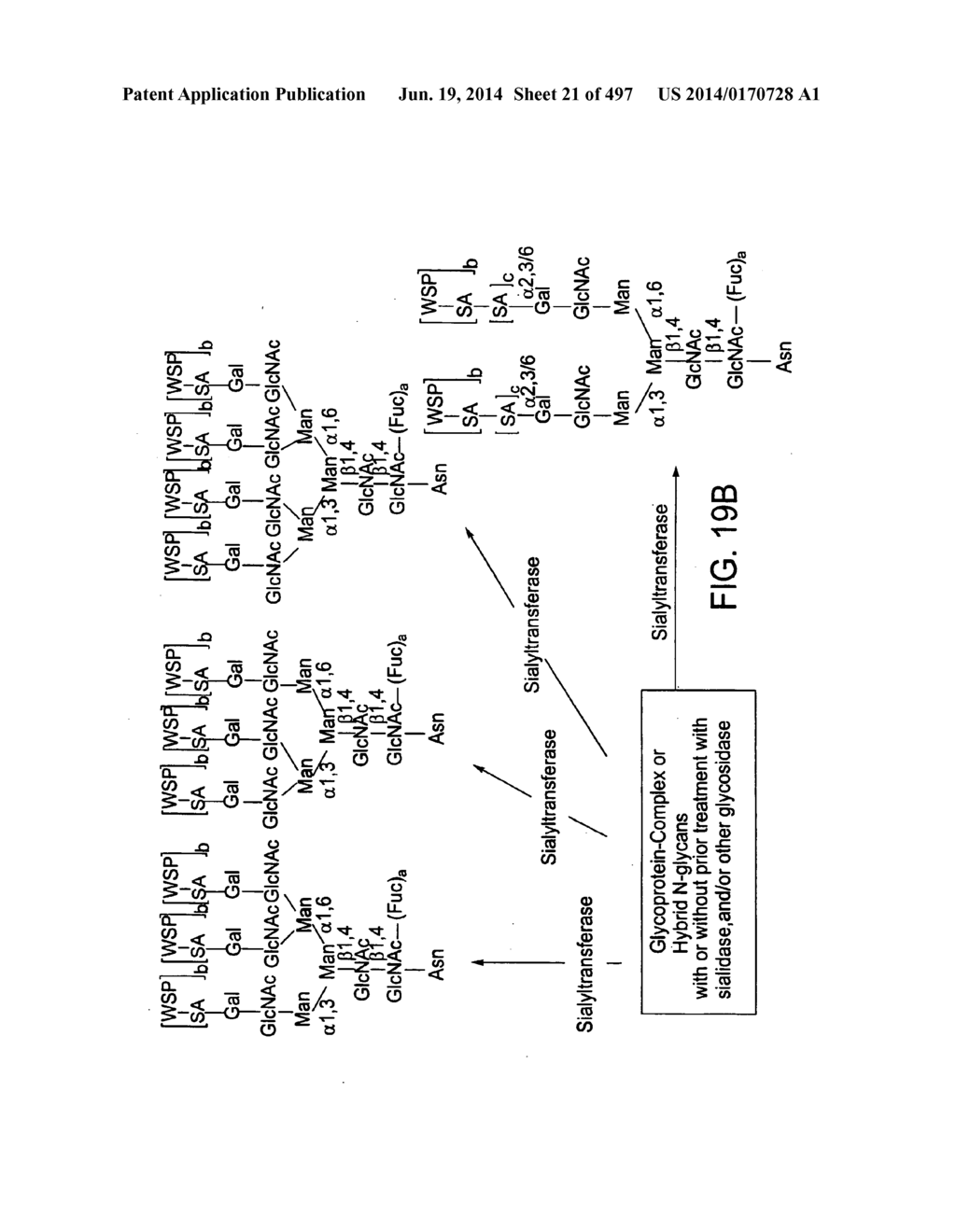 Factor IX:  Remodeling and Glycoconjugation of Factor IX - diagram, schematic, and image 22