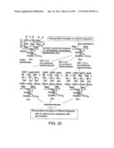 Factor IX:  Remodeling and Glycoconjugation of Factor IX diagram and image