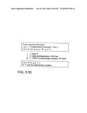 Factor IX:  Remodeling and Glycoconjugation of Factor IX diagram and image