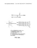 Factor IX:  Remodeling and Glycoconjugation of Factor IX diagram and image