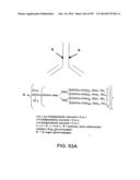 Factor IX:  Remodeling and Glycoconjugation of Factor IX diagram and image