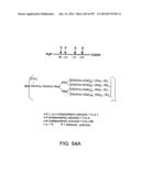 Factor IX:  Remodeling and Glycoconjugation of Factor IX diagram and image