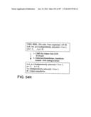 Factor IX:  Remodeling and Glycoconjugation of Factor IX diagram and image