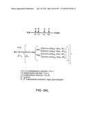 Factor IX:  Remodeling and Glycoconjugation of Factor IX diagram and image