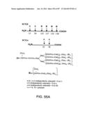 Factor IX:  Remodeling and Glycoconjugation of Factor IX diagram and image