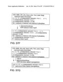 Factor IX:  Remodeling and Glycoconjugation of Factor IX diagram and image