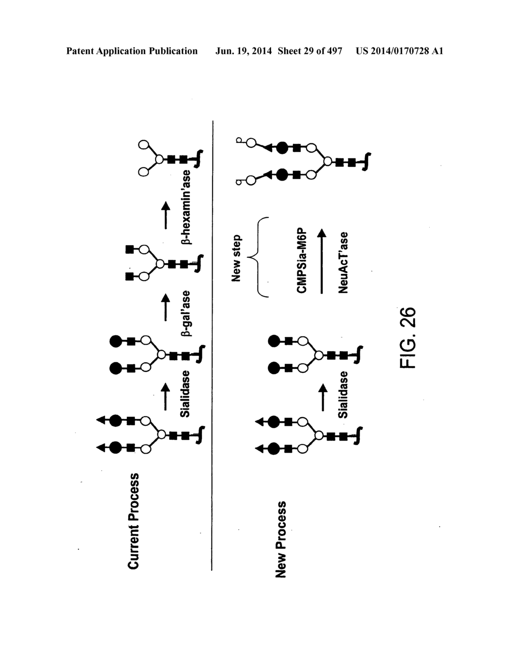 Factor IX:  Remodeling and Glycoconjugation of Factor IX - diagram, schematic, and image 30