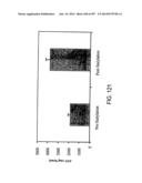 Factor IX:  Remodeling and Glycoconjugation of Factor IX diagram and image