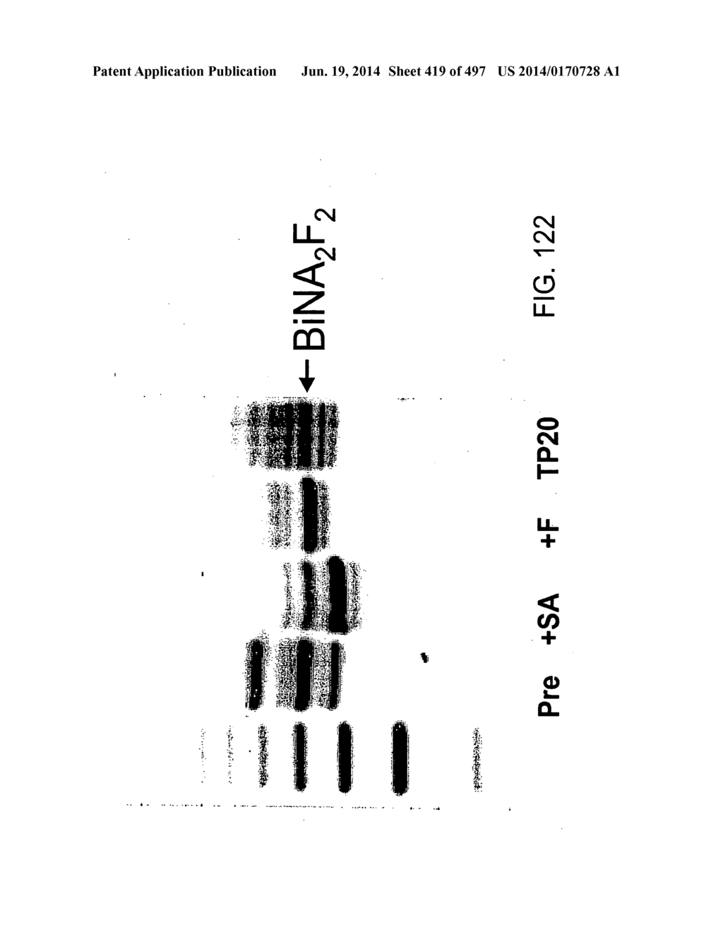 Factor IX:  Remodeling and Glycoconjugation of Factor IX - diagram, schematic, and image 420