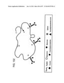 Factor IX:  Remodeling and Glycoconjugation of Factor IX diagram and image