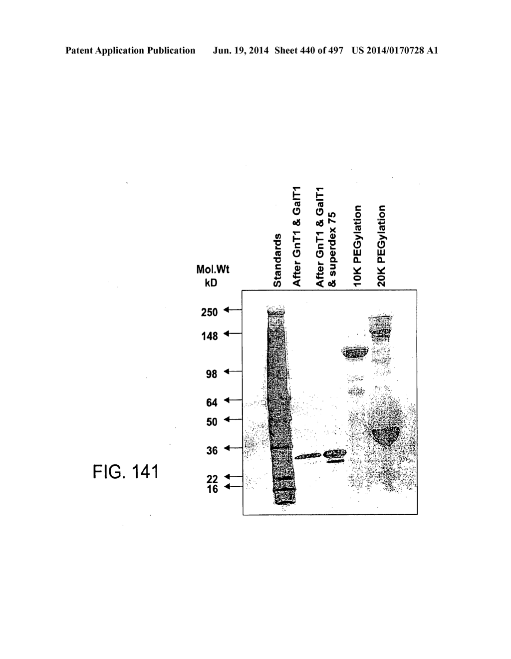 Factor IX:  Remodeling and Glycoconjugation of Factor IX - diagram, schematic, and image 441