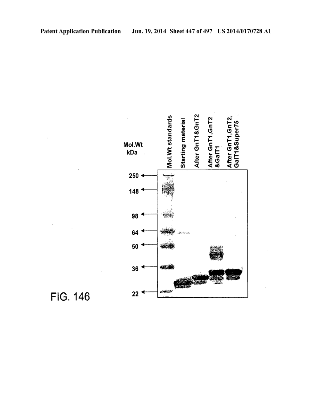 Factor IX:  Remodeling and Glycoconjugation of Factor IX - diagram, schematic, and image 448