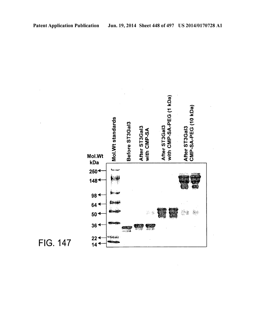 Factor IX:  Remodeling and Glycoconjugation of Factor IX - diagram, schematic, and image 449