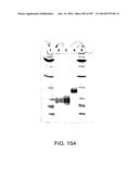 Factor IX:  Remodeling and Glycoconjugation of Factor IX diagram and image