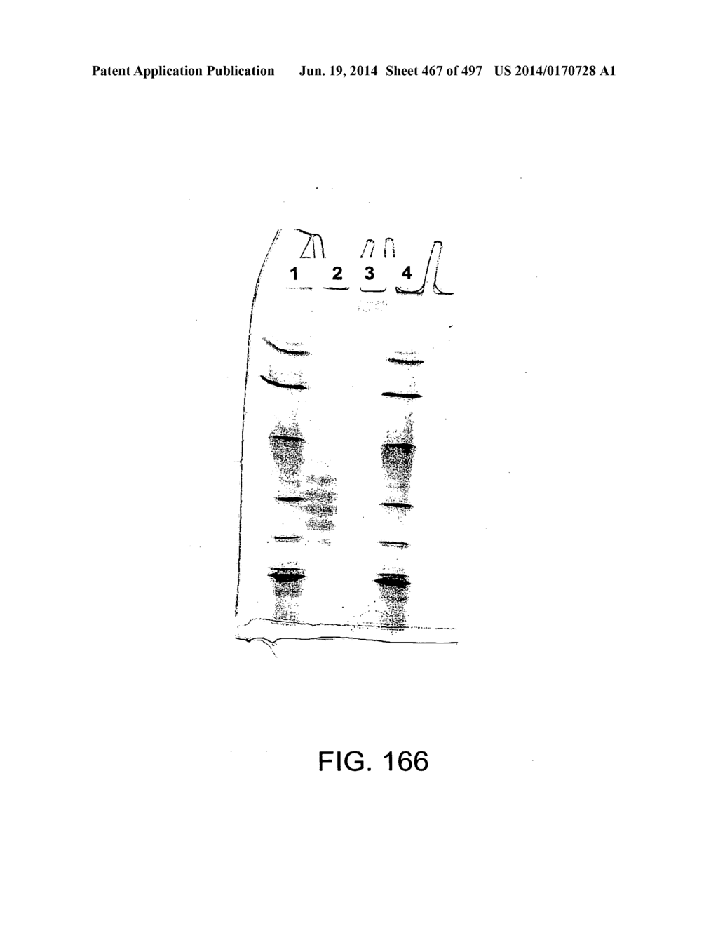 Factor IX:  Remodeling and Glycoconjugation of Factor IX - diagram, schematic, and image 468