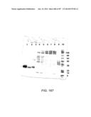 Factor IX:  Remodeling and Glycoconjugation of Factor IX diagram and image