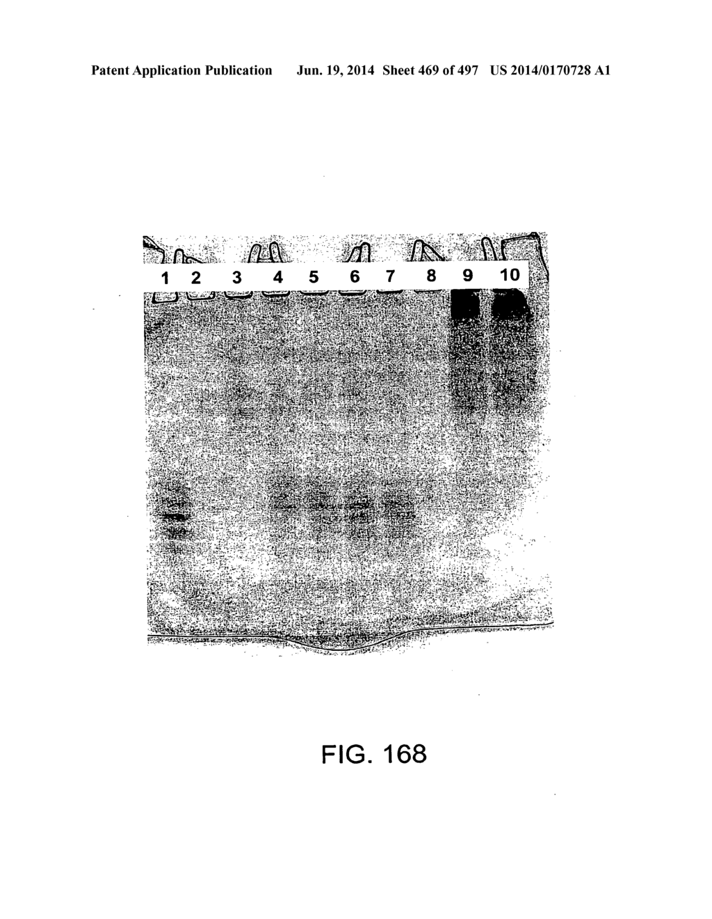 Factor IX:  Remodeling and Glycoconjugation of Factor IX - diagram, schematic, and image 470