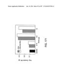 Factor IX:  Remodeling and Glycoconjugation of Factor IX diagram and image