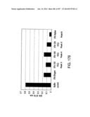 Factor IX:  Remodeling and Glycoconjugation of Factor IX diagram and image