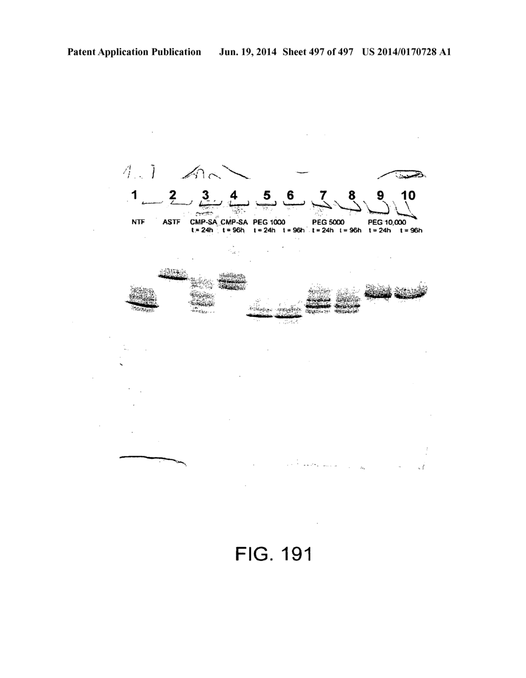 Factor IX:  Remodeling and Glycoconjugation of Factor IX - diagram, schematic, and image 498