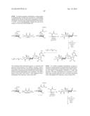 Factor IX:  Remodeling and Glycoconjugation of Factor IX diagram and image