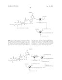 Factor IX:  Remodeling and Glycoconjugation of Factor IX diagram and image