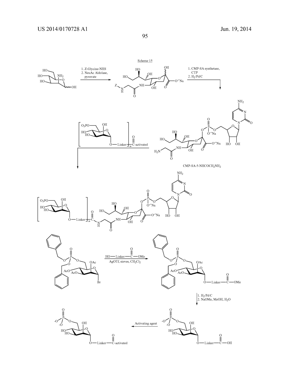 Factor IX:  Remodeling and Glycoconjugation of Factor IX - diagram, schematic, and image 593