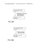 Factor IX:  Remodeling and Glycoconjugation of Factor IX diagram and image