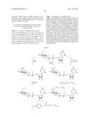 Factor IX:  Remodeling and Glycoconjugation of Factor IX diagram and image