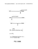 Factor IX:  Remodeling and Glycoconjugation of Factor IX diagram and image