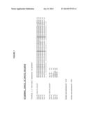 SSO7-POLYMERASE CONJUGATES WITH DECREASED NON-SPECIFIC ACTIVITY diagram and image