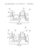 Epitaxial Formation Mechanisms of Source and Drain Regions diagram and image