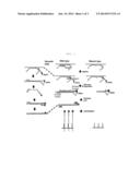 GENE ANALYSIS METHOD USING SDL-PCR diagram and image