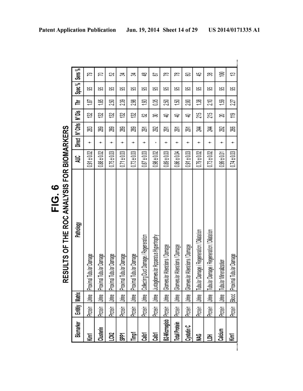 PREDICTIVE RENAL SAFETY BIOMARKERS AND BIOMARKER SIGNATURES TO MONITOR     KIDNEY FUNCTION - diagram, schematic, and image 15