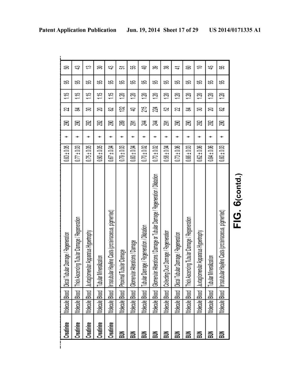 PREDICTIVE RENAL SAFETY BIOMARKERS AND BIOMARKER SIGNATURES TO MONITOR     KIDNEY FUNCTION - diagram, schematic, and image 18