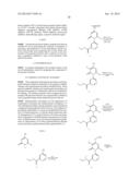 SUBSTITUTED PYRIDINONE-PYRIDINYL COMPOUNDS diagram and image