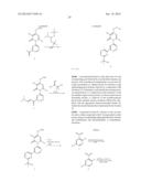 SUBSTITUTED PYRIDINONE-PYRIDINYL COMPOUNDS diagram and image