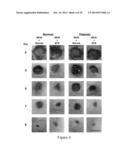 METHODS AND COMPOSITIONS FOR TREATMENT OF EPITHELIAL WOUNDS diagram and image