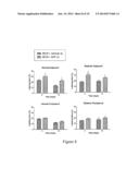 METHODS AND COMPOSITIONS FOR TREATMENT OF EPITHELIAL WOUNDS diagram and image