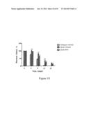 METHODS AND COMPOSITIONS FOR TREATMENT OF EPITHELIAL WOUNDS diagram and image