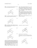 Nitrogen Containing Morphinan Derivatives and the Use Thereof diagram and image