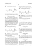 ANIMAL ECTOPARASITE-CONTROLLING AGENT diagram and image