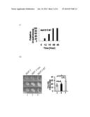 COMPOSITIONS AND METHODS FOR TREATMENT OF TAMOXIFEN RESISTANT BREAST     CANCER diagram and image